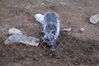 Filename=20090717_135.jpg
Filesize=251KiB
Dimensions=1023x685
Date added=Jul 22, 2009 20090717_135.jpg