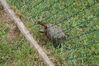 Filename=20090717_141.jpg
Filesize=286KiB
Dimensions=1023x685
Date added=Jul 22, 2009 20090717_141.jpg