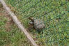 Filename=20090717_142.jpg
Filesize=296KiB
Dimensions=1023x685
Date added=Jul 22, 2009 20090717_142.jpg
