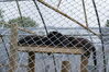 Filename=20090717_144.jpg
Filesize=228KiB
Dimensions=1023x685
Date added=Jul 22, 2009 20090717_144.jpg