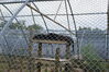 Filename=20090717_145.jpg
Filesize=323KiB
Dimensions=1023x685
Date added=Jul 22, 2009 20090717_145.jpg