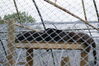 Filename=20090717_146.jpg
Filesize=233KiB
Dimensions=1023x685
Date added=Jul 22, 2009 20090717_146.jpg