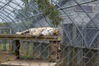 Filename=20090717_148.jpg
Filesize=252KiB
Dimensions=1023x685
Date added=Jul 22, 2009 20090717_148.jpg