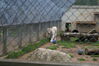 Filename=20090717_149.jpg
Filesize=197KiB
Dimensions=1023x685
Date added=Jul 22, 2009 20090717_149.jpg