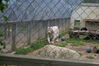 Filename=20090717_150.jpg
Filesize=222KiB
Dimensions=1023x685
Date added=Jul 22, 2009 20090717_150.jpg