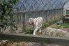 Filename=20090717_151.jpg
Filesize=214KiB
Dimensions=1023x685
Date added=Jul 22, 2009 20090717_151.jpg