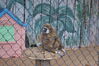 Filename=20090717_154.jpg
Filesize=200KiB
Dimensions=1023x685
Date added=Jul 22, 2009 20090717_154.jpg