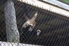 Filename=20090717_157.jpg
Filesize=251KiB
Dimensions=1023x685
Date added=Jul 22, 2009 20090717_157.jpg