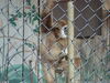 Filename=20090717_158.jpg
Filesize=166KiB
Dimensions=1024x768
Date added=Jul 22, 2009 20090717_158.jpg