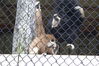 Filename=20090717_159.jpg
Filesize=225KiB
Dimensions=1023x685
Date added=Jul 22, 2009 20090717_159.jpg