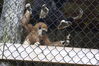 Filename=20090717_160.jpg
Filesize=225KiB
Dimensions=1023x685
Date added=Jul 22, 2009 20090717_160.jpg