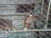 Filename=20090717_161.jpg
Filesize=179KiB
Dimensions=1024x768
Date added=Jul 22, 2009 20090717_161.jpg