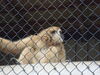 Filename=20090717_162.jpg
Filesize=157KiB
Dimensions=1024x768
Date added=Jul 22, 2009 20090717_162.jpg