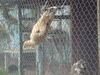 Filename=20090717_164.jpg
Filesize=161KiB
Dimensions=1024x768
Date added=Jul 22, 2009 20090717_164.jpg
