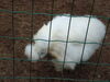 Filename=20090717_165.jpg
Filesize=127KiB
Dimensions=1024x768
Date added=Jul 22, 2009 20090717_165.jpg