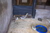 Filename=20090717_168.jpg
Filesize=216KiB
Dimensions=1023x685
Date added=Jul 22, 2009 20090717_168.jpg