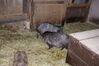 Filename=20090717_169.jpg
Filesize=241KiB
Dimensions=1023x685
Date added=Jul 22, 2009 20090717_169.jpg