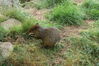 Filename=20090717_173.jpg
Filesize=333KiB
Dimensions=1023x685
Date added=Jul 22, 2009 20090717_173.jpg