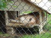 Filename=20090717_179.jpg
Filesize=165KiB
Dimensions=1024x768
Date added=Jul 22, 2009 20090717_179.jpg