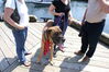 Filename=20090719_026.jpg
Filesize=214KiB
Dimensions=1023x685
Date added=Jul 22, 2009 20090719_026.jpg