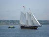 Filename=20090719_029.jpg
Filesize=102KiB
Dimensions=1024x768
Date added=Jul 22, 2009 20090719_029.jpg