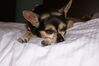 Filename=20090730_001.jpg
Filesize=121KiB
Dimensions=1023x685
Date added=Aug 03, 2009 20090730_001.jpg