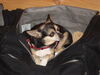Filename=20090731_002.jpg
Filesize=152KiB
Dimensions=1024x768
Date added=Aug 03, 2009 20090731_002.jpg