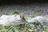 Filename=20090801_004.jpg
Filesize=191KiB
Dimensions=1023x682
Date added=Aug 03, 2009 20090801_004.jpg