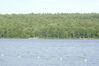 Filename=20090802_012.jpg
Filesize=181KiB
Dimensions=1023x685
Date added=Aug 03, 2009 20090802_012.jpg