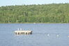 Filename=20090802_016.jpg
Filesize=186KiB
Dimensions=1023x685
Date added=Aug 03, 2009 20090802_016.jpg