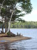 Filename=20090802_023.jpg
Filesize=224KiB
Dimensions=768x1024
Date added=Aug 03, 2009 20090802_023.jpg