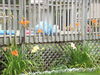 Filename=20090803_004.jpg
Filesize=222KiB
Dimensions=1024x768
Date added=Aug 03, 2009 20090803_004.jpg