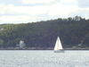 Filename=20090906_010.jpg
Filesize=121KiB
Dimensions=1024x768
Date added=Sep 12, 2009 20090906_010.jpg