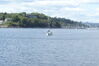 Filename=20090906_021.jpg
Filesize=181KiB
Dimensions=1023x685
Date added=Sep 12, 2009 20090906_021.jpg