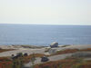 Filename=20091003_003.jpg
Filesize=409KiB
Dimensions=1024x768
Date added=Oct 13, 2009 20091003_003.jpg