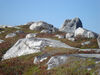 Filename=20091003_005.jpg
Filesize=585KiB
Dimensions=1024x768
Date added=Oct 13, 2009 20091003_005.jpg
