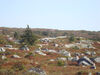 Filename=20091003_006.jpg
Filesize=459KiB
Dimensions=1024x768
Date added=Oct 13, 2009 20091003_006.jpg