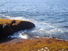 Filename=20091003_033.jpg
Filesize=705KiB
Dimensions=1024x768
Date added=Oct 13, 2009 20091003_033.jpg