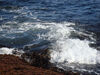 Filename=20091003_035.jpg
Filesize=616KiB
Dimensions=1024x768
Date added=Oct 13, 2009 20091003_035.jpg