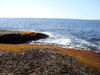 Filename=20091003_036.jpg
Filesize=617KiB
Dimensions=1024x768
Date added=Oct 13, 2009 20091003_036.jpg