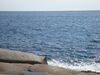 Filename=20091003_039.jpg
Filesize=553KiB
Dimensions=1024x768
Date added=Oct 13, 2009 20091003_039.jpg