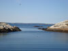 Filename=20091003_056.jpg
Filesize=339KiB
Dimensions=1024x768
Date added=Oct 13, 2009 20091003_056.jpg