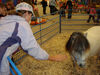 Filename=20091009_010.jpg
Filesize=527KiB
Dimensions=1024x768
Date added=Oct 20, 2009 20091009_010.jpg