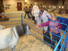 Filename=20091009_011.jpg
Filesize=594KiB
Dimensions=1024x768
Date added=Oct 20, 2009 20091009_011.jpg