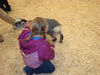 Filename=20091009_013.jpg
Filesize=562KiB
Dimensions=1024x768
Date added=Oct 20, 2009 20091009_013.jpg