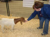 Filename=20091009_014.jpg
Filesize=538KiB
Dimensions=1024x768
Date added=Oct 20, 2009 20091009_014.jpg