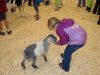 Filename=20091009_015.jpg
Filesize=565KiB
Dimensions=1024x768
Date added=Oct 20, 2009 20091009_015.jpg