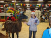 Filename=20091009_017.jpg
Filesize=548KiB
Dimensions=1024x768
Date added=Oct 20, 2009 20091009_017.jpg