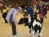 Filename=20091009_019.jpg
Filesize=535KiB
Dimensions=1024x768
Date added=Oct 20, 2009 20091009_019.jpg