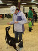 Filename=20091009_020.jpg
Filesize=213KiB
Dimensions=768x1024
Date added=Oct 20, 2009 20091009_020.jpg